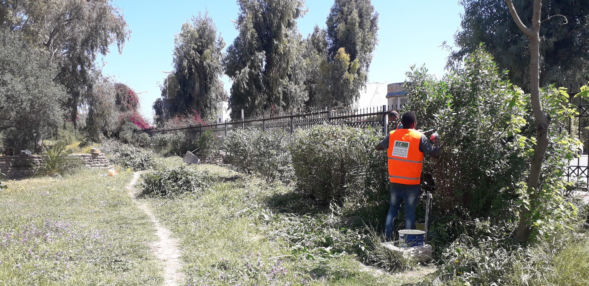Aménagement d'un espace vert public en Tunisie - Verthème