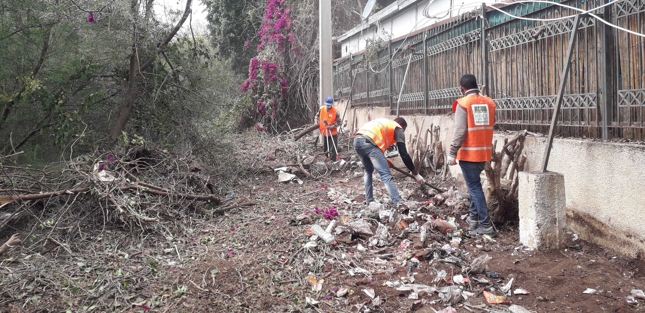 Jardin public à Tunis - aménagement paysager Verthème