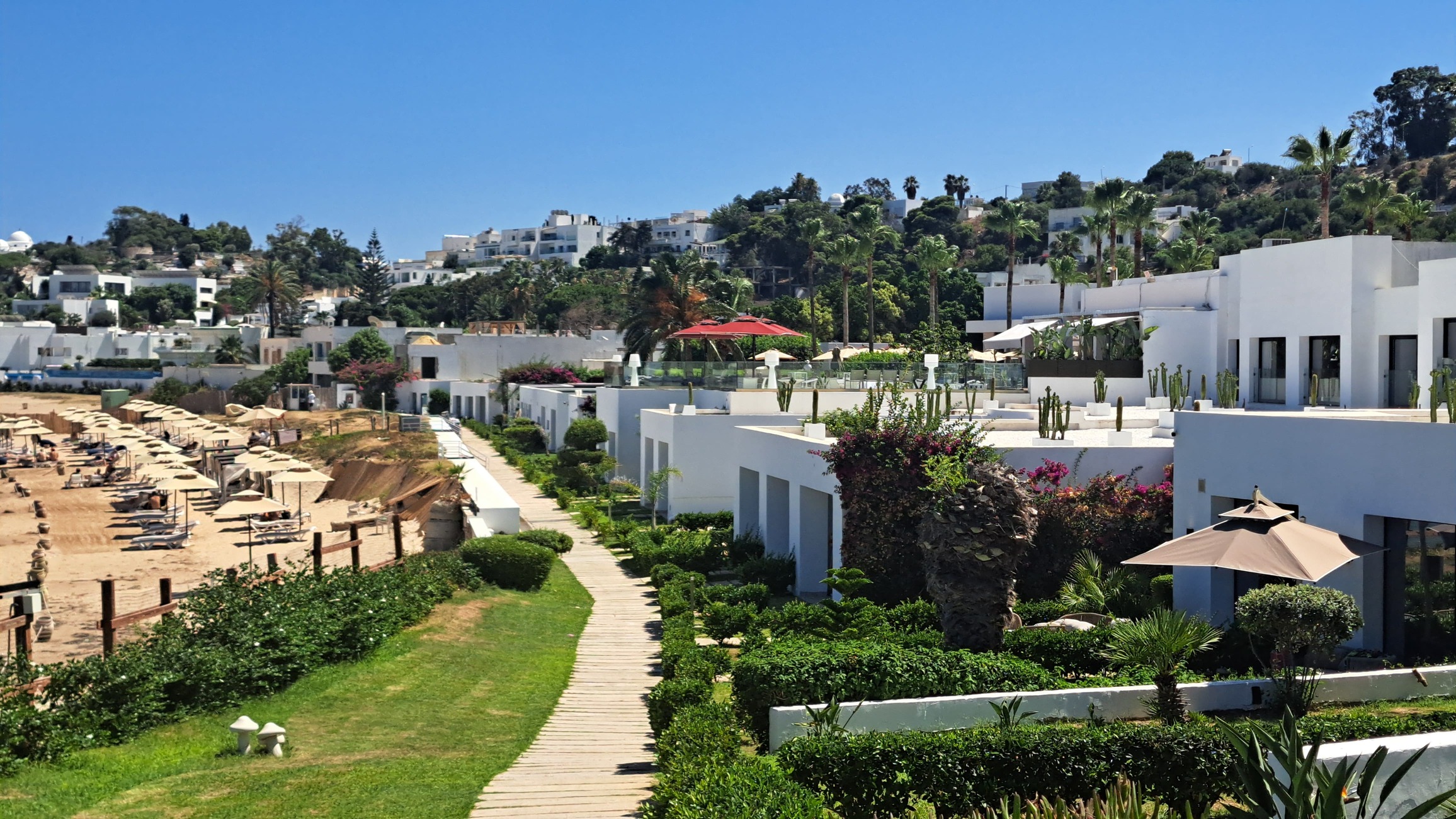 Jardin luxuriant d'un hôtel à Gammarth - Verthème paysagiste Tunisie