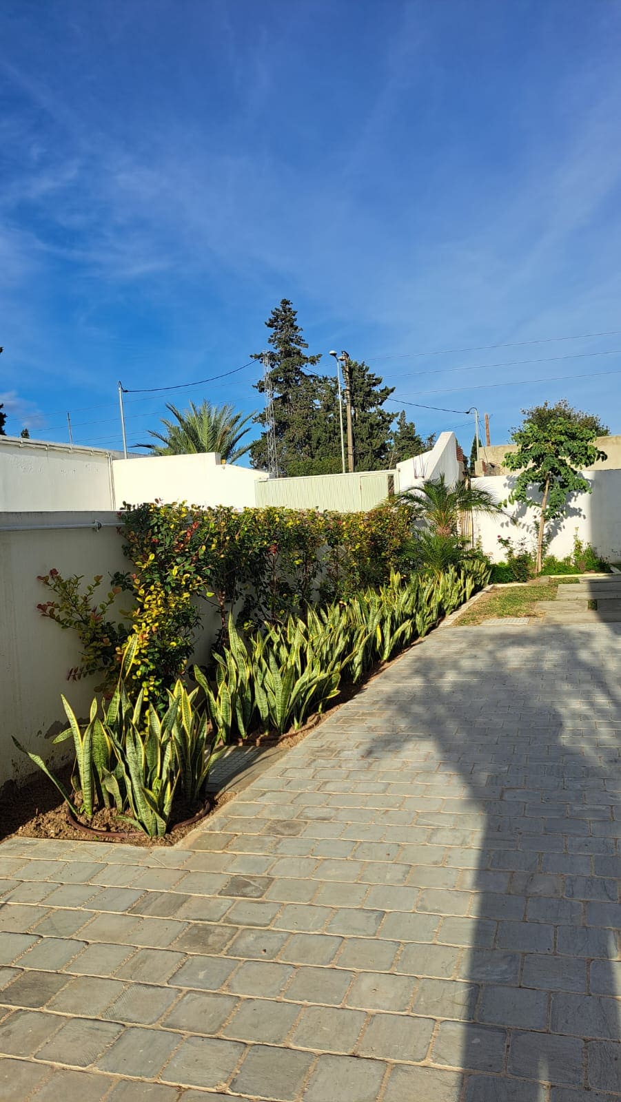 Jardin méditerranéen privé conçu par Verthème