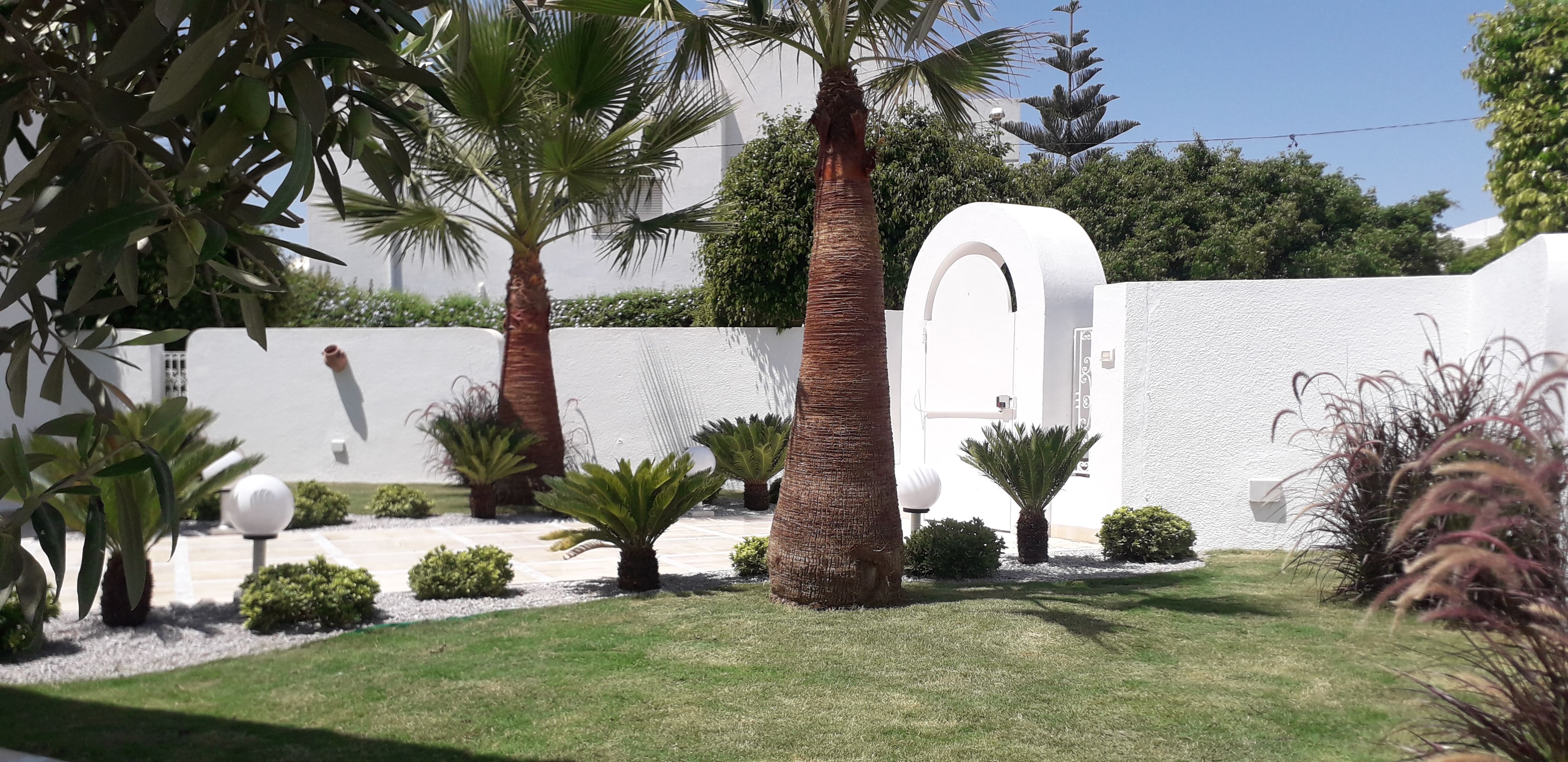 Aménagement paysager d'une villa à Tunis - Verthème