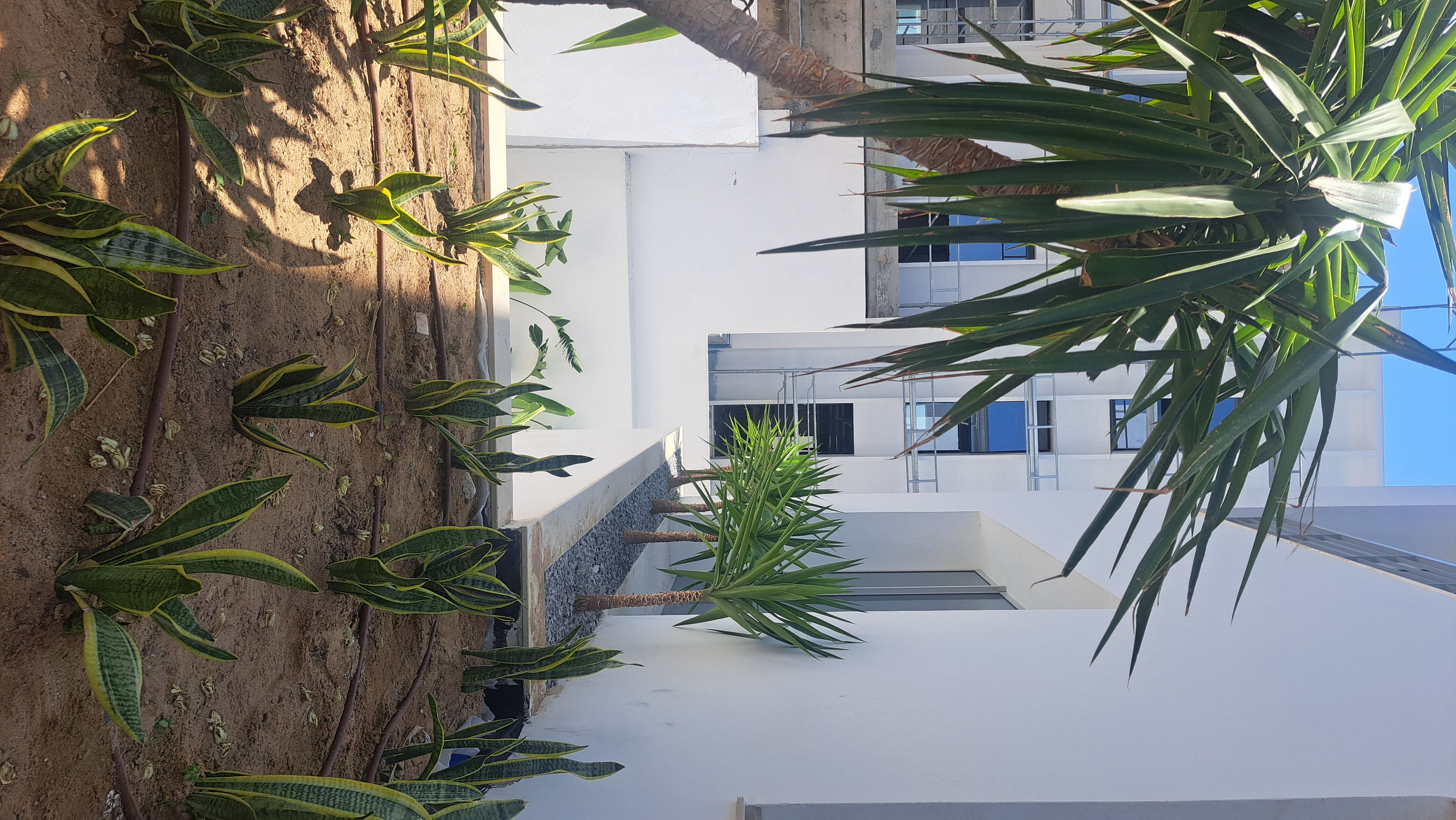 Jardin résidentiel en Tunisie réalisé par Verthème