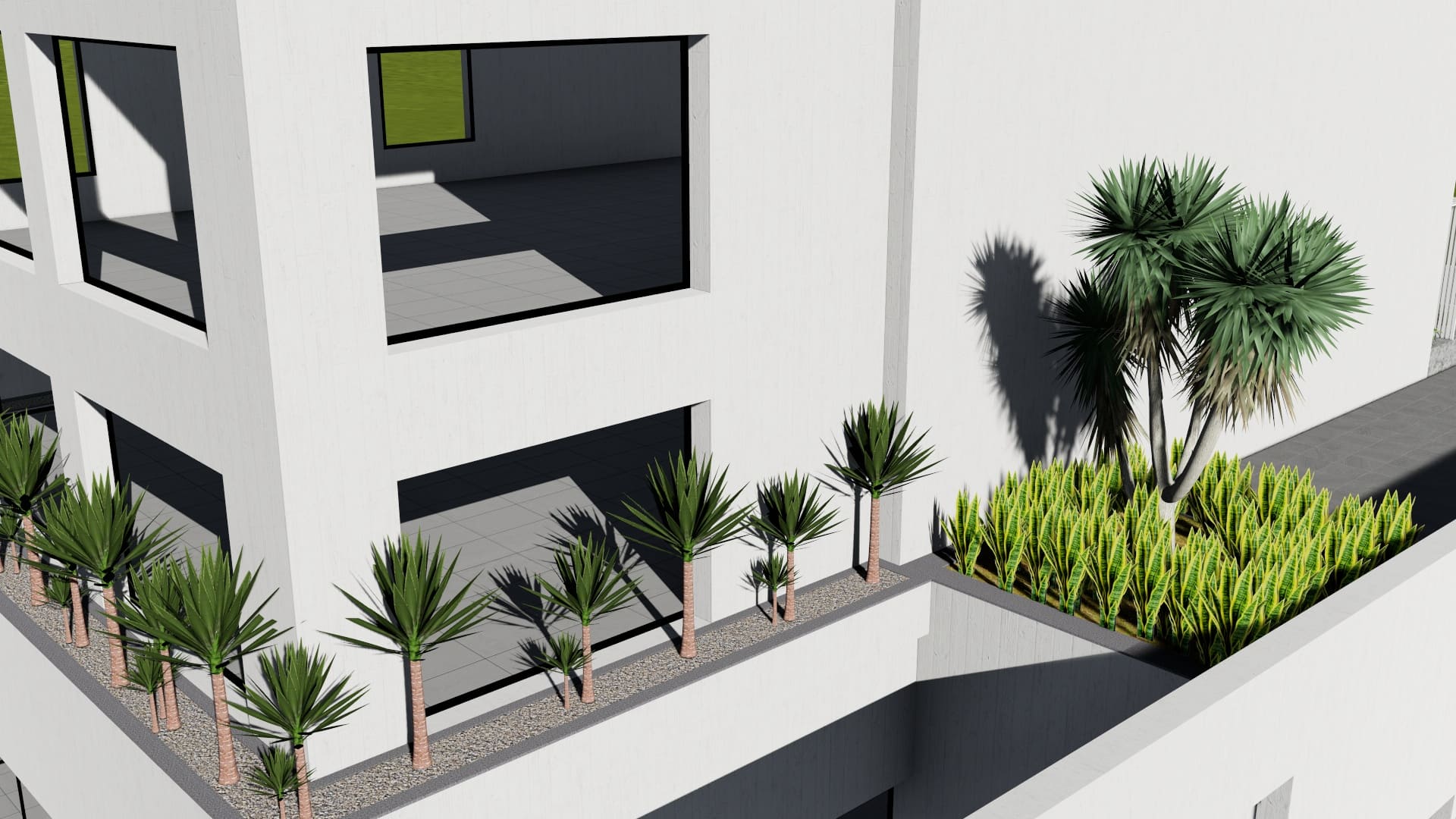 Conception de jardin privé à Tunis - paysagiste Verthème