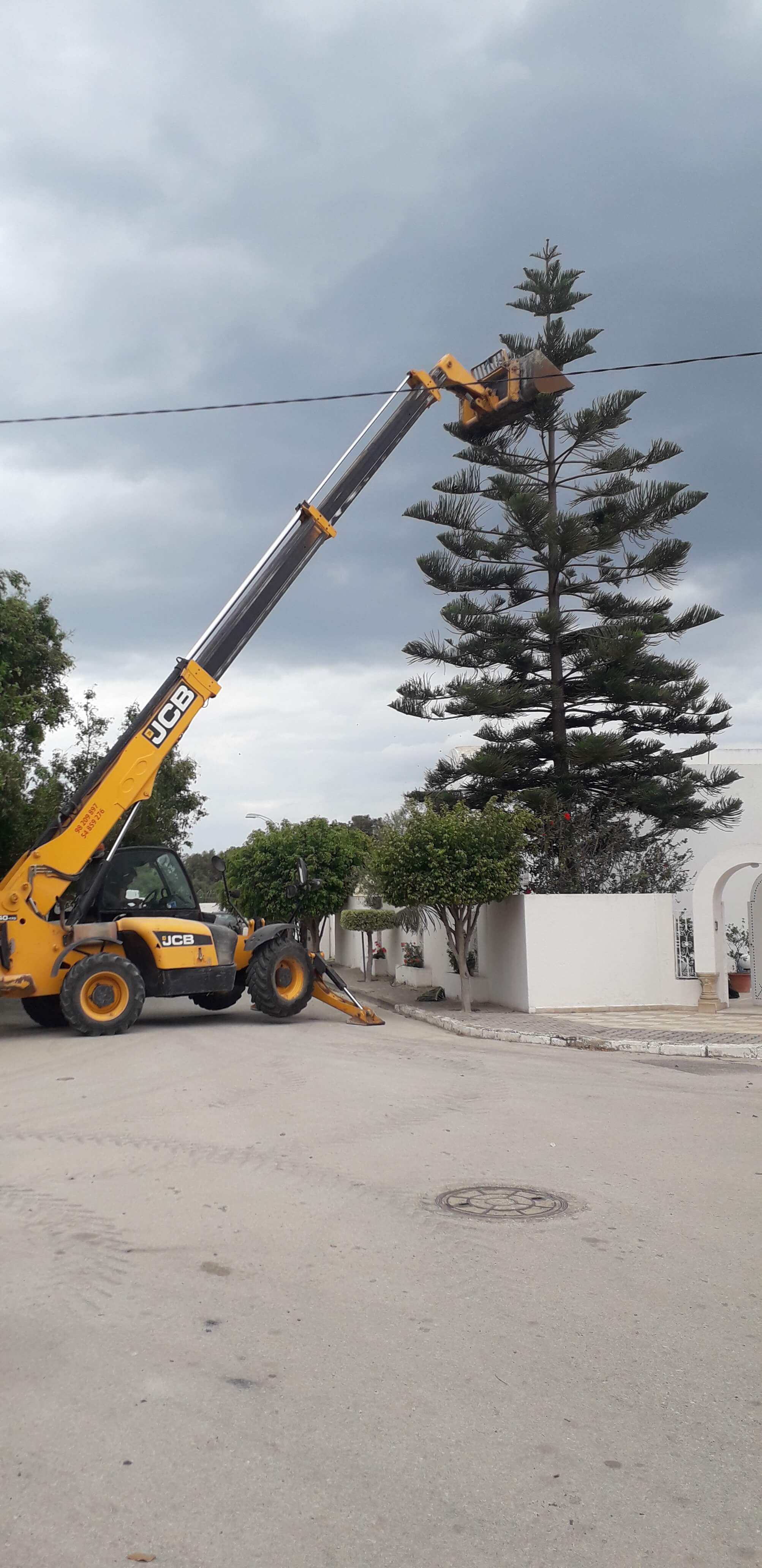 Travaux paysagers réalisés par Verthème en Tunisie
